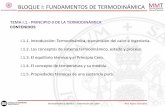 TEMA I.1.- PRINCIPIO 0 DE LA TERMODINÁMICA CONTENIDOS