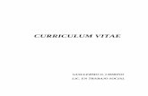CURRICULUM VITAE - trabajo-social.org.ar