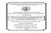 UNIVERSIDAD NACIONAL DE HUANCAVELlCA