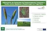 Aplicaciones de Herbicidas de Postemergencia Temprana y ...