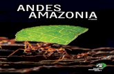 ANDES AAZONIA