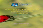 CONTROL NATURAL DE PLAGAS EN EL HUERTO ORGANICO