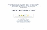 GUIA DOCENTE - 2020