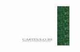 CAPITULO III - unac.edu.pe