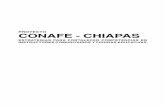PROYECTO CONAFE - CHIAPAS