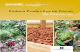 Cadena Productiva de Cacao de Honduras