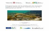 Seguimiento de la población de lamprea marina (Petromyzon ...