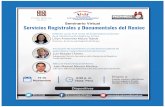 Seminario Virtual Servicios Registrales y Documentales del ...