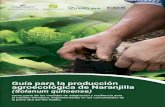 Guía para la producción agroecológica de Naranjilla ...