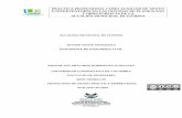 PRACTICA PROFESIONAL COMO AUXILIAR DE APOYO E ...