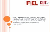 PDL ADAPTABILIDAD LABORAL - Fundación FIEL