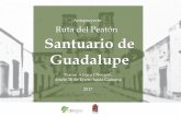 Anteproyecto Ruta del Peatón Santuario de Guadalupe
