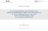 Complejos proteicos elipsoidales NP:Octámero y su relación ...