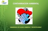 CONTAMINACION AMBIENTAL - Sistema Local de Información ...