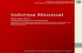 Informe Mensual - Gobierno Municipal de Zapotlán El ...