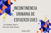 INCONTINENCIA URINARIA DE ESFUERZO (IUE)