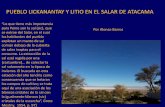 PUEBLO LICKANANTAY Y LITIO EN EL SALAR DE ATACAMA - camara.cl