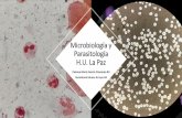 Microbiología y Parasitología H.U. La Paz