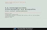 La inmigración extranjera en España