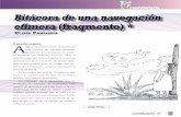 lises PaniagUa - Revista EL BUHO
