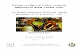 Mycological catalogue of the Riserva Naturale Biogenetica ...