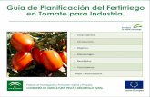 Guía de Planificación del Fertirriego en Tomate para ...