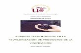 AVANCES TECNOLÓGICOS EN LA REVALORIZACIÓN DE PRODUCTOS DE ...