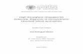 High-throughput strategies for molecular diagnosis of ...