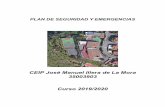 CEIP José Manuel Illera de La Mora 35003903 Curso 2019/2020