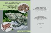 Guía de campo de os reptiles y anfibios de Santa Rosa y ...