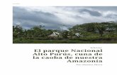 Informe El parque Nacional Alto Purús, cuna de la caoba de ...