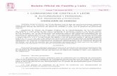 Boletín Oficial de Castilla y León - CCOO