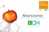 Manzana - BION
