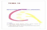 Tema 10. Infección del tracto urinario