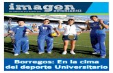 Borregos: En la cima del deporte Universitario
