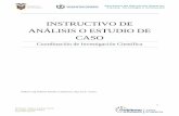 INSTRUCTIVO DE ANÁLISIS O ESTUDIO DE CASO