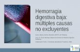 Hemorragia digestiva baja: múltiples causas no excluyentes