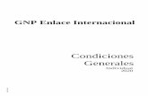 GNP Enlace Internacional