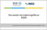 Encuestas Sociodemográficas DGES