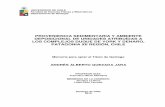 PROVENIENCIA SEDIMENTARIA Y AMBIENTE DEPOSICIONAL DE ...