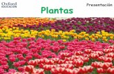 Presentación Plantas - Gobierno de Canarias