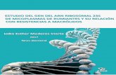 Estudio del gen del ARN ribosomal 23S