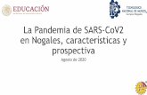La Pandemia de SARS-CoV2 en Nogales, características y ...