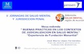 II JORNADAS DE SALUD MENTAL Y JURISDICCION PENAL