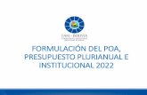 FORMULACIÓN DEL POA, INSTITUCIONAL 2022