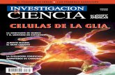 CELULAS DE LA GLIA - Investigación y Ciencia