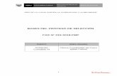 BASES DEL PROCESO DE SELECCIÓN CAS Nº 015-2019-FMP