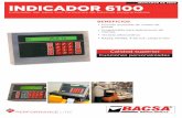 INDICADOR DE PESO INDICADOR 6100 - bacsa.es