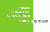 REUNIÓN PLENARIA DEL SEFISVER 2019