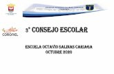 ESCUELA OCTAVIO SALINAS CARIAGA OCTUBRE 2020